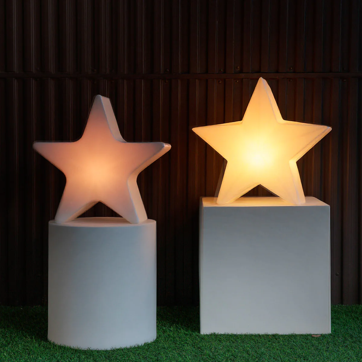 ESTRELLA NAVIDEÑA NOVA 60 - Image 5