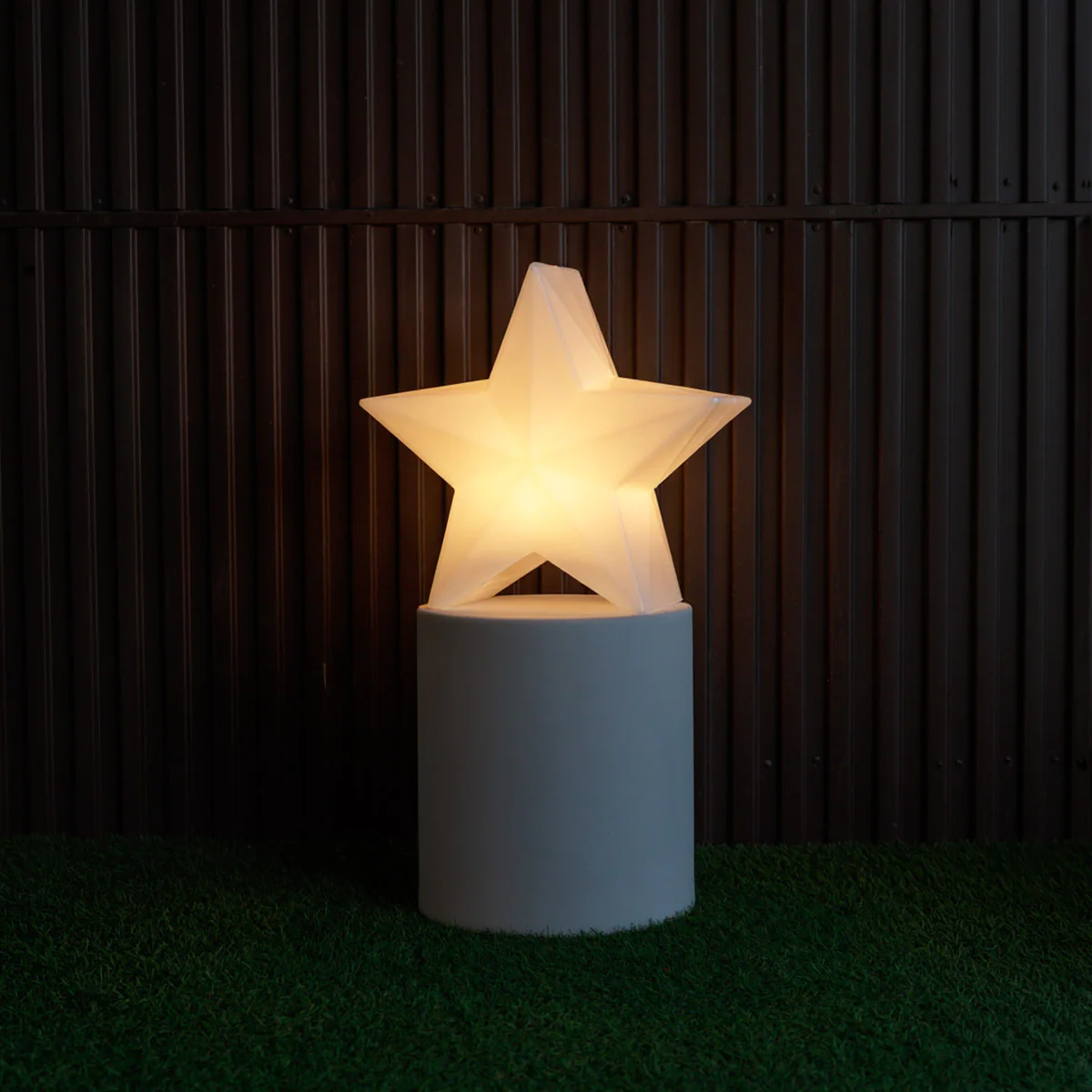 ESTRELLA NAVIDEÑA NOVA 45 - Image 4