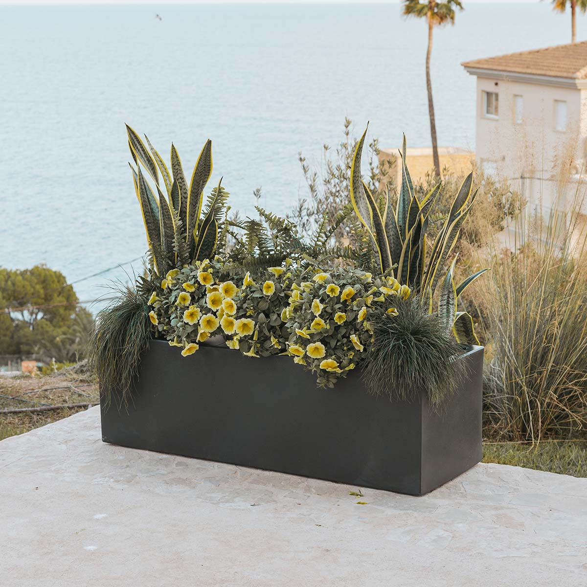 Macetero rectangular JARA 100 x 40 - Image 9